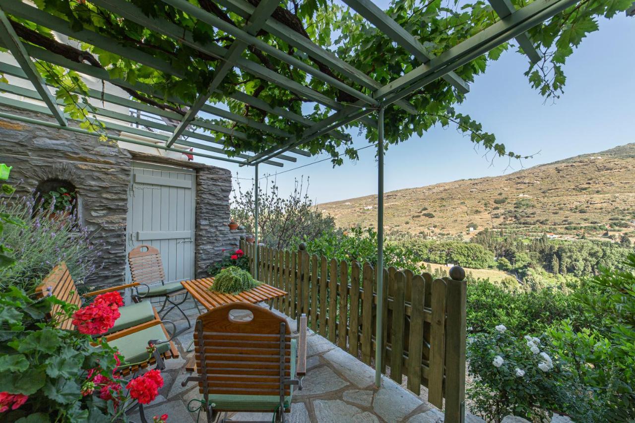 Apartment Victoria's Summerhouse Andros Town
